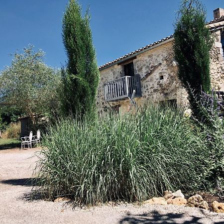 Le Gite De La Maison Des Chats - Gite En Quercy Saint-Amans-du-Pech Zewnętrze zdjęcie