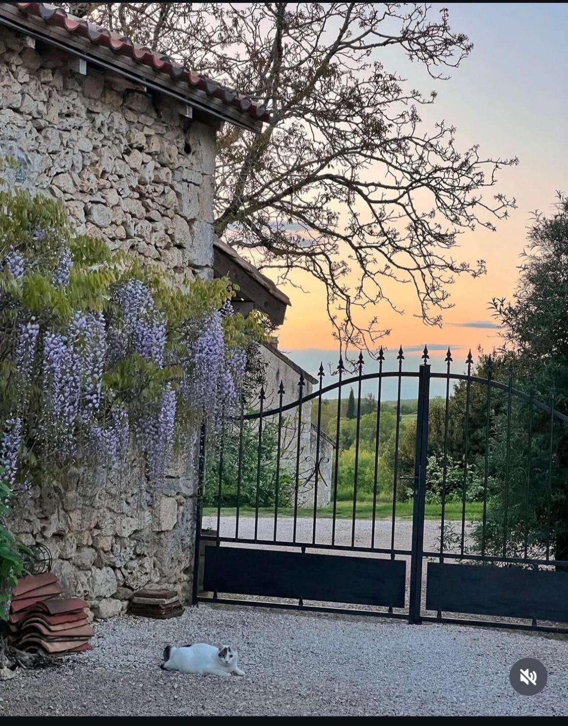 Le Gite De La Maison Des Chats - Gite En Quercy Saint-Amans-du-Pech Zewnętrze zdjęcie